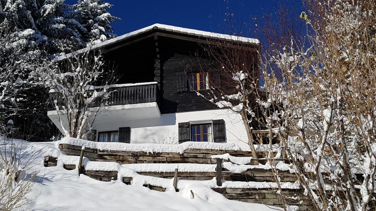 גרוייר Charming Chalet With Panoramic View And Private Parking In Gruyere מראה חיצוני תמונה