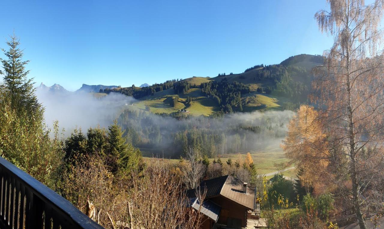 גרוייר Charming Chalet With Panoramic View And Private Parking In Gruyere מראה חיצוני תמונה